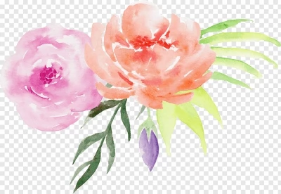 Chia sẻ và download miễn phí Hình ảnh hoa lá màu nước file PNG. Chủ đề: hoa lá trang trí, hoa lá png, hoa lá màu nước, 