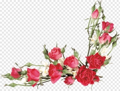 Chia sẻ và download miễn phí Hoa hồng trang trí góc file png file png. Định dạng file PNG. Chủ đề: màu nước, hoa lá màu nước, hoa lá png, hoa lá trang trí, hoa hồng, hoa hồng png