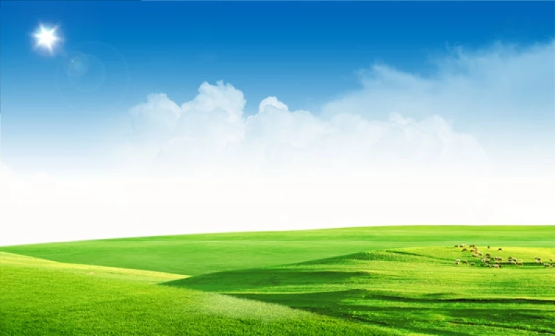 Hình nền  Cây xanh đồng cỏ cây Đám mây màu sắc 2560x1600  4kWallpaper   742402  Hình nền đẹp hd  WallHere