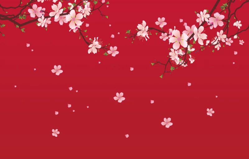 Chia sẻ 100 hình nền hoa anh đào rơi anime siêu hot  POPPY