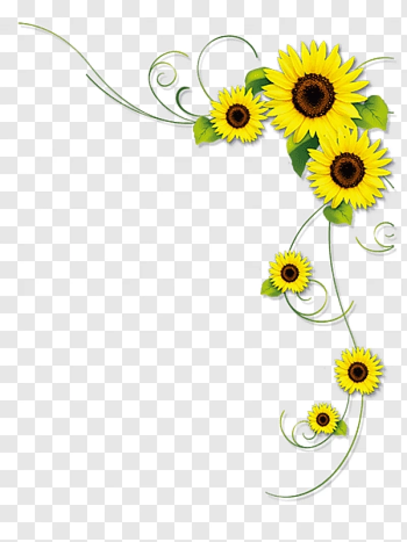 Hoa hướng dương - biểu tượng của sự sống, sự tự do và niềm hy vọng. Hình ảnh những bông hoa vàng rực rỡ đầy năng lượng sẽ khiến bạn cảm thấy vui tươi và tràn đầy năng lượng.