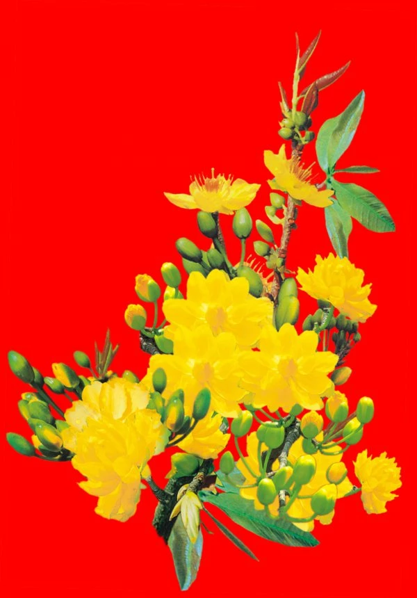 Photoshop - Mong muốn tạo ra một bức ảnh đẹp và hoàn hảo với cành hoa mai Vàng Nảy lộc của Việt Nam trong dịp Tết? Hãy tham khảo những thủ thuật chỉnh sửa ảnh trong Photoshop, để tạo ra một tác phẩm trang trí Tết độc đáo và phù hợp với không gian gia đình của bạn.