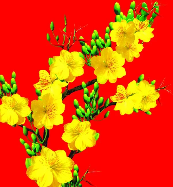 Hoa Mai Vàng (Yellow apricot blossom): Hoa Mai Vàng được coi là kẻ may mắn và là biểu tượng của sự phát triển và thịnh vượng. Hãy xem hình ảnh để ngắm nhìn những bông Hoa Mai Vàng đẹp nhất.