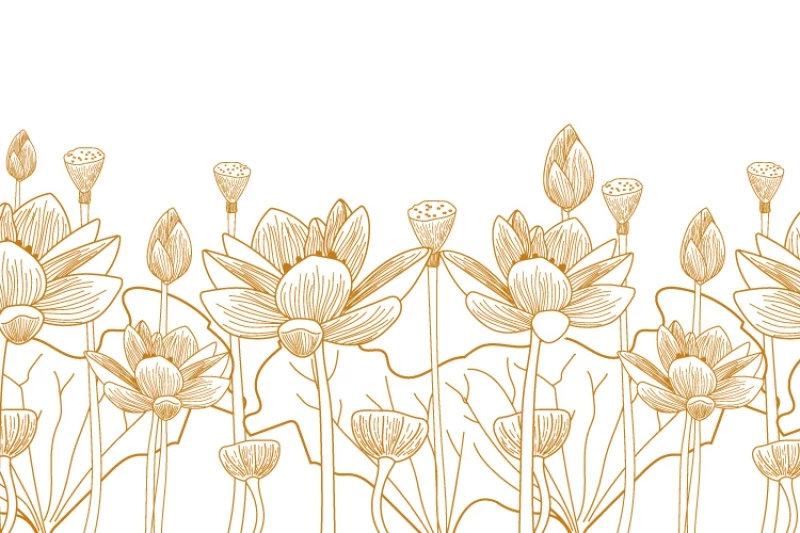 FREE 16 hình vẽ hoa sen bằng bút chì tuyệt đẹp miễn phí tải về  MHDI3