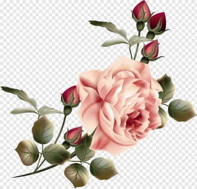 Chia sẻ và download miễn phí Cành Hoa hồng, bông hoa hồng file png. Định dạng file PNG. Chủ đề: hoa lá màu nước, hoa lá png, hoa lá trang trí, hoa hồng, hoa hồng png, 