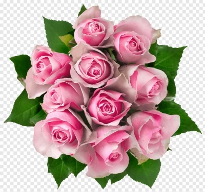 Chia sẻ và download miễn phí hình ảnh hoa hồng phai file PNG. Chủ đề: hoa hồng png, hoa hồng, hoa lá trang trí, hoa lá png, 
