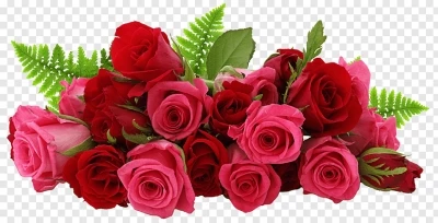 Chia sẻ và download miễn phí Hình ảnh những bông hồng đẹp file PNG. Chủ đề: hoa trang trí, hoa lá trang trí, hoa lá png, hoa hồng, hoa hồng png, hình ảnh hoa hồng, 