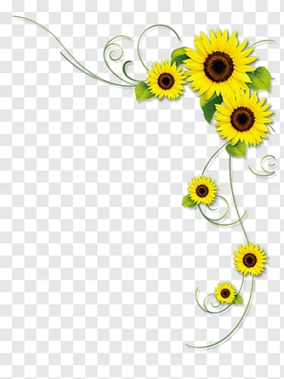 Cách vẽ hoa dây trang trí góc bảng đơn giản họa tiết trang trí hoa