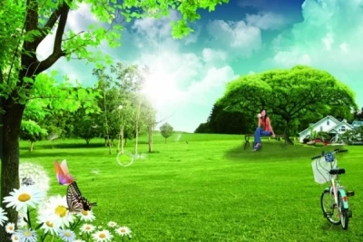 File photoshop PSD Phong cảnh khu vườn cỏ cây.  vườn cây, đồng cỏ, cây lá, cây cối, hoa cúc, con bướm, thảm cỏ, 