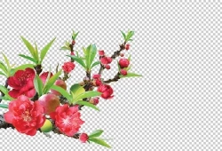 Photoshop cành hoa đào đỏ ngày tết đẹp file PSD. hoa đào, hoa đào psd, hoa đào file psd, hoa đào photoshop, cành hoa đào, cành hoa đào photoshop, cành hoa đào tết 
