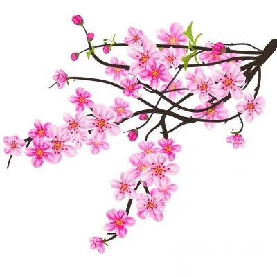 Miễn phí download Vector cành hoa đào phai đẹp. Định dạng file AI EPS Illustrator. Chủ đề: hoa đào vector, hoa đào vector vector, cành hoa đào vector, 