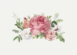 Chia sẻ download miễn phí file Vector AI, EPS những bông hoa hồng vẽ màu nước tuyệt đẹp. màu nước, hoa lá, hoa hồng, vẽ màu nước, Rose, Rose Flower,   
